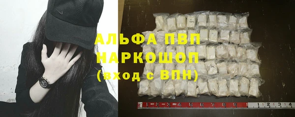 молекула духа Новокубанск