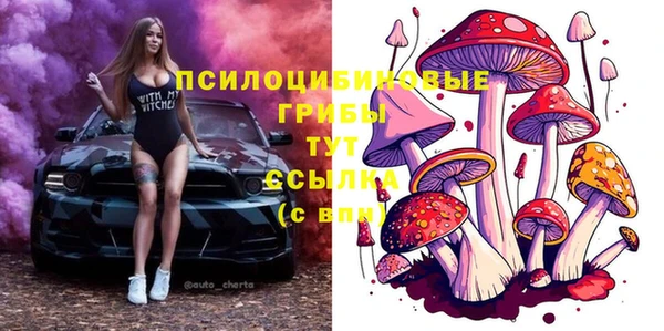 каннабис Новодвинск
