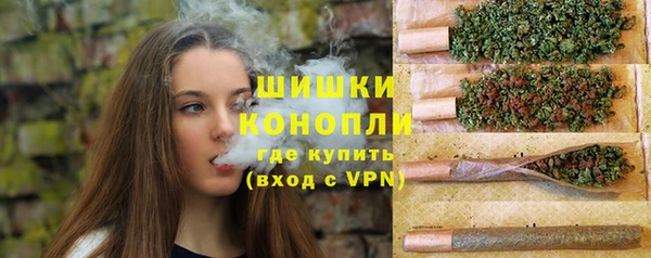 дживик Беломорск