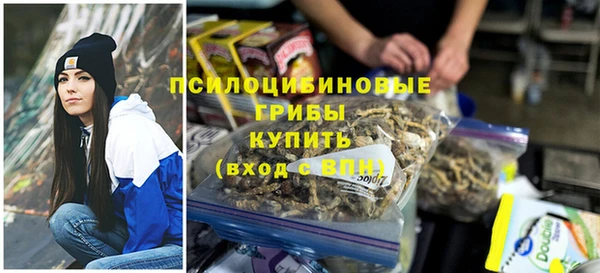 молекула духа Новокубанск