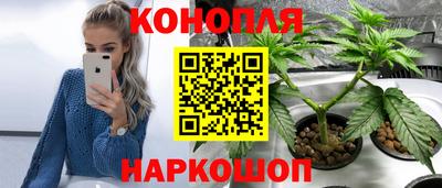 прущие крисы Абинск