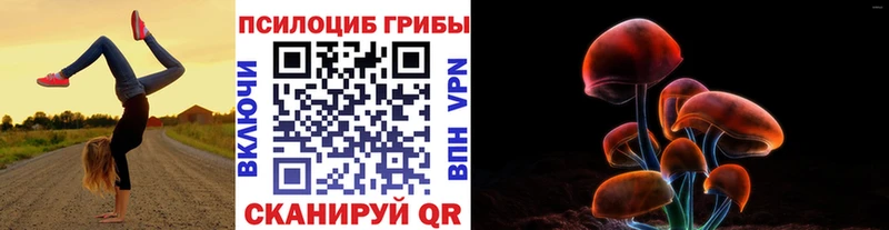 Галлюциногенные грибы прущие грибы  где продают наркотики  ОМГ ОМГ как зайти  Кузнецк 