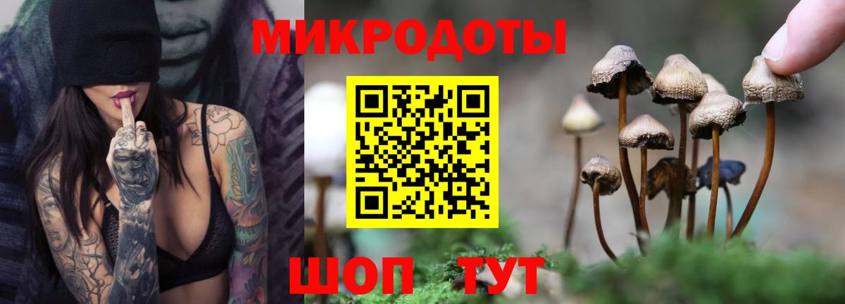 Галлюциногенные грибы GOLDEN TEACHER  Вход с VPN  Кузнецк 
