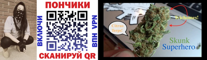 Шишки марихуана марихуана  как найти закладки  маркетплейс состав  Кузнецк  МЕГА ТОР 